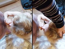 fellation, française - J'adore quand ma salope vient me sucer la bite